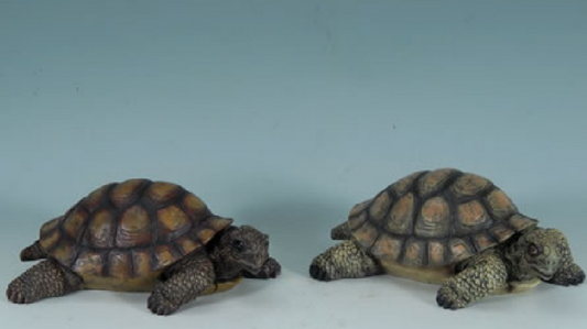Two tortoises on a light blue background