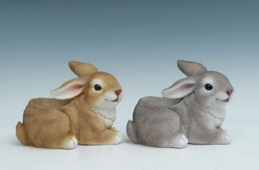 Two rabbit figurines pots, one brown and one gray, on a white background
