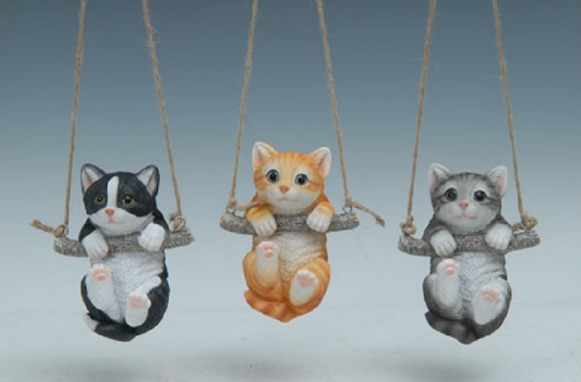 CAT Hanging Branch Plant