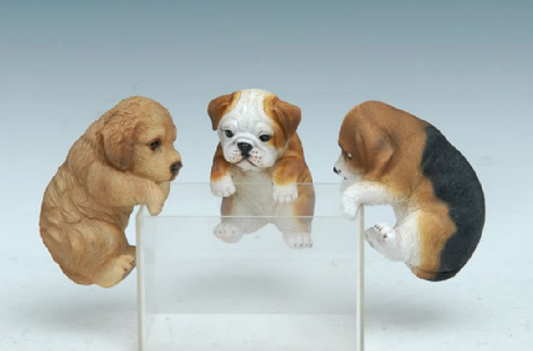 DOG Pot / Planter Hanger