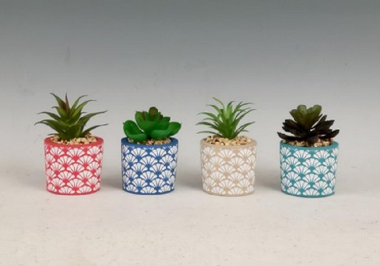 Succulent Pot / Planterted Plants