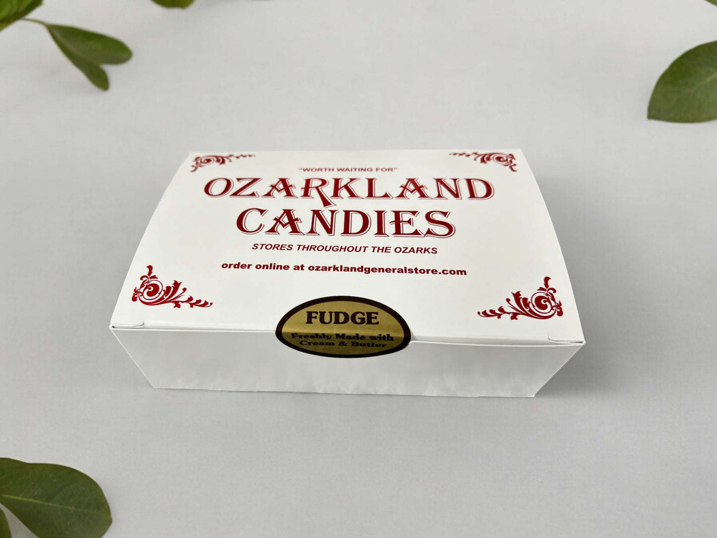 Chocolate Caramel Sea Salt Fudge