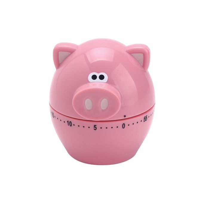 Piggy Timer