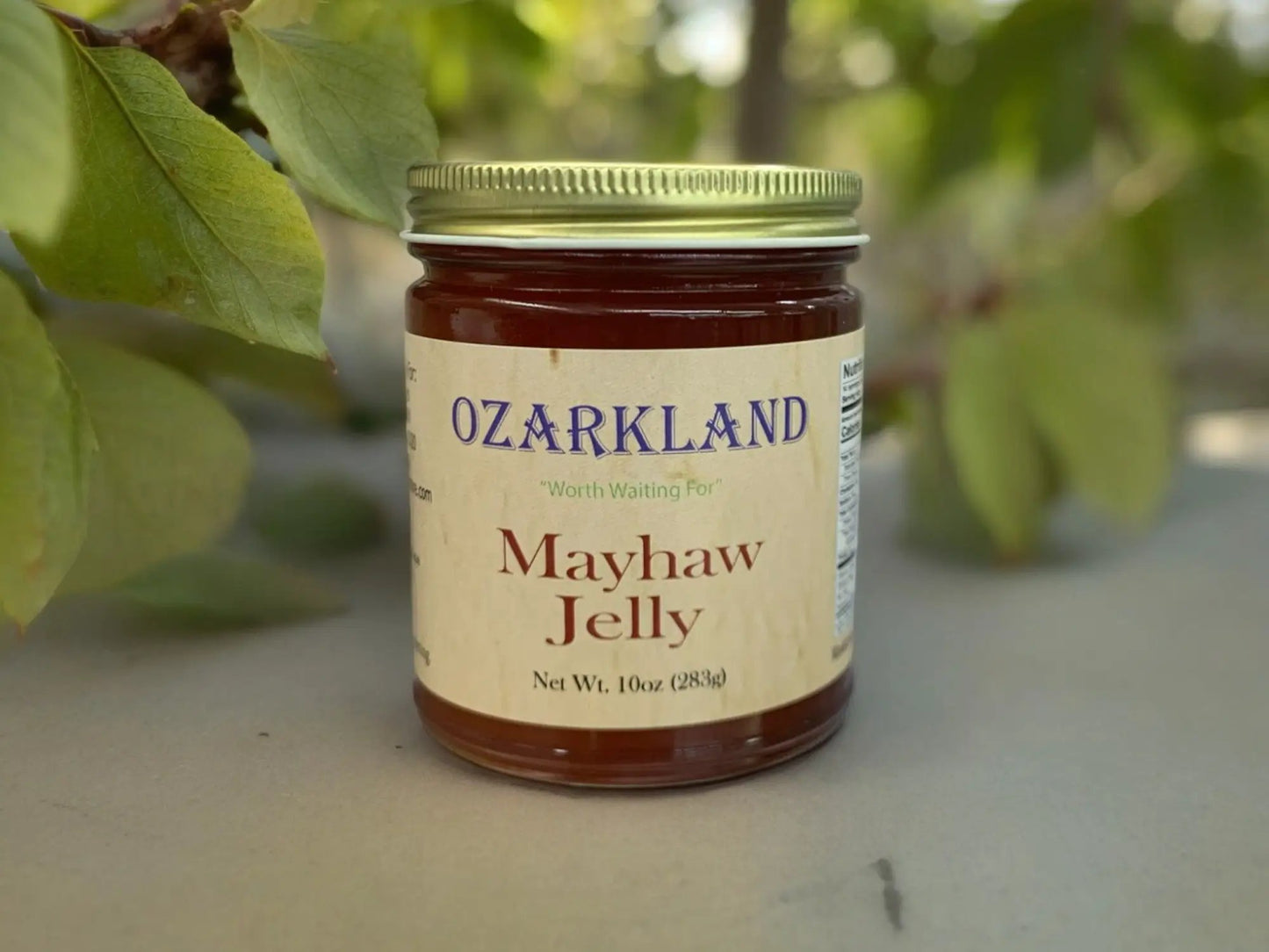 Ozarkland Mayhaw Jelly - Jams & Jellies Jelly