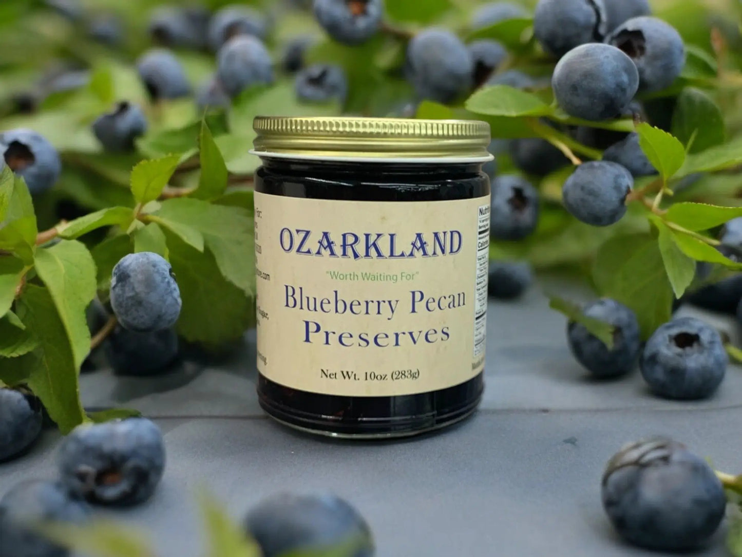 Ozarkland Blueberry Pecan Preserves - Jams & Jellies Preserves