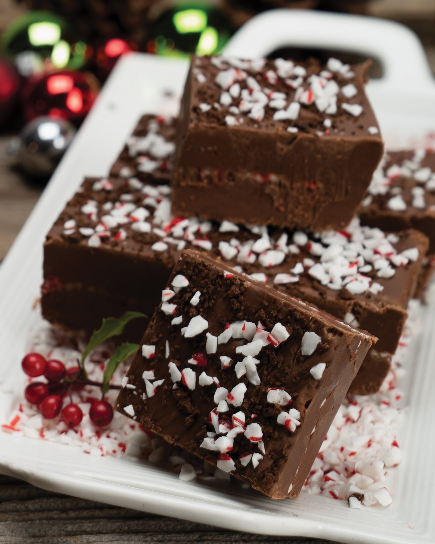 Seasonal Fudge Sampler - Preorder