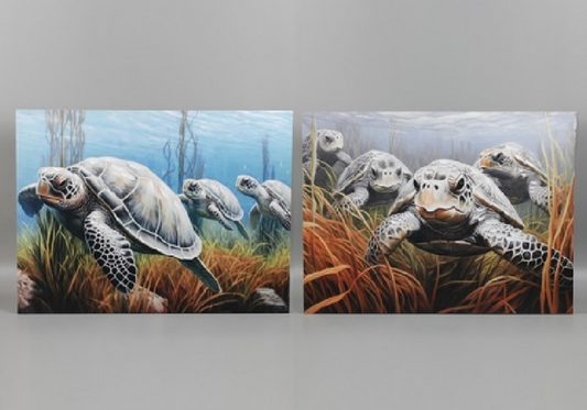 Turtle Wall Art Canvas