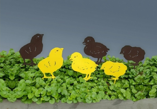 Brown and yellow baby chicken yard stakes, in three poses, looking up, looking forward, and looking down.