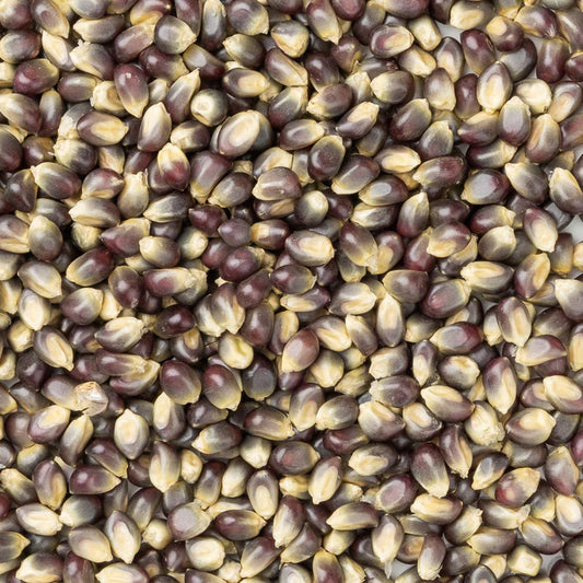 Blue Popcorn Bag of Kennels- 2 Pound Bag