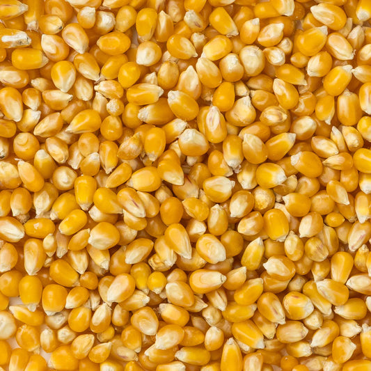 Extra Large Caramel Popcorn Bag of Kennels- 2 Pound Bag