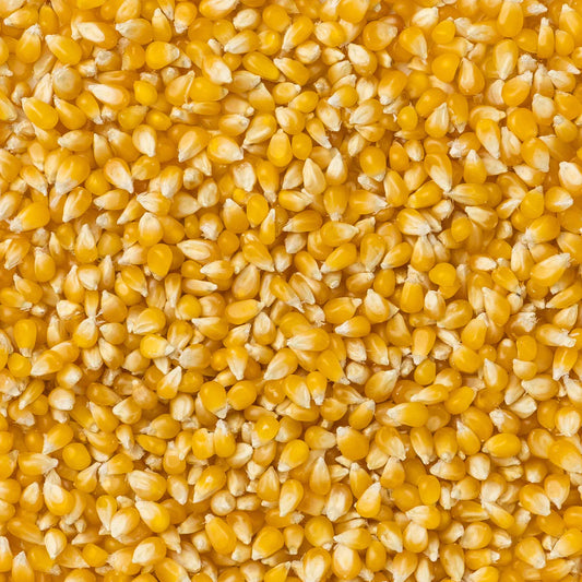 Ladyfinger Popcorn Bag of Kennels- 2 Pound Bag