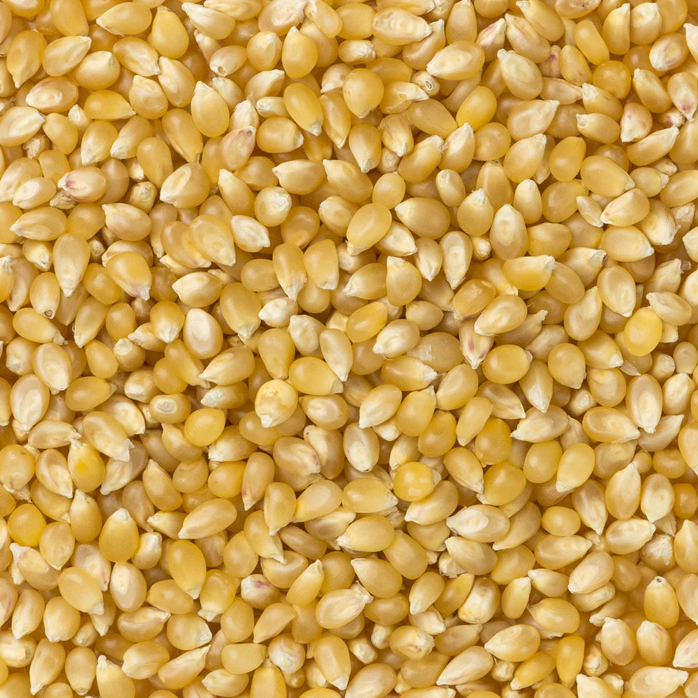 White Popcorn Bag of Kennels- 2 Pound Bag