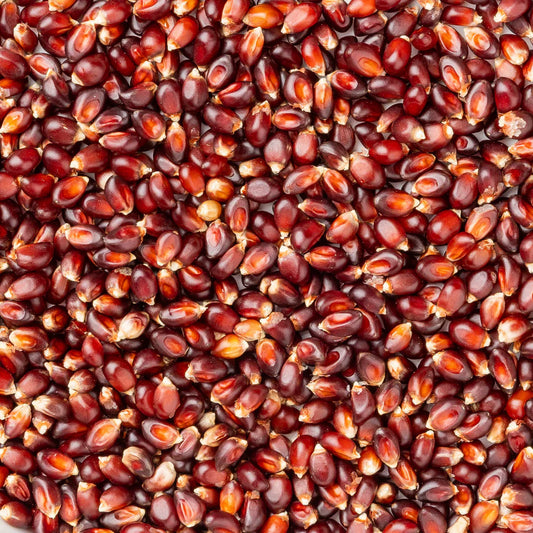 Red Popcorn Bag of Kennels- 2 Pound Bag